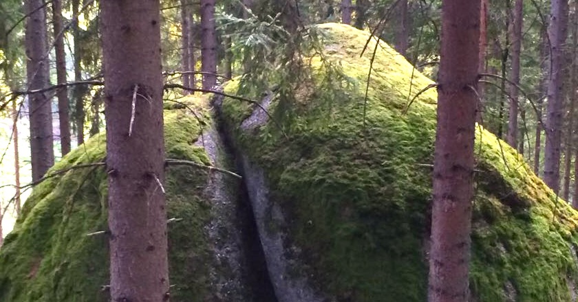 Die Entstehungsgeschichte der Natur-Feld-Kinesiologie