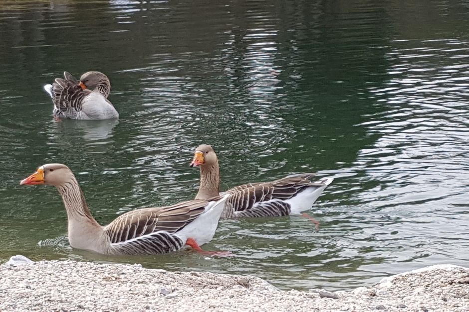 Gemeinsam Zeit verbringen und singen.