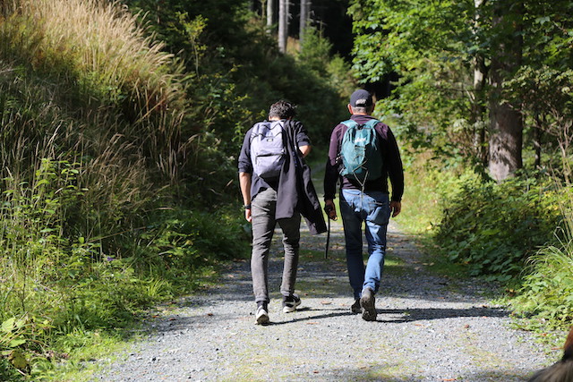 2 Männer von hinten mit Rucksack im Wald wandernd